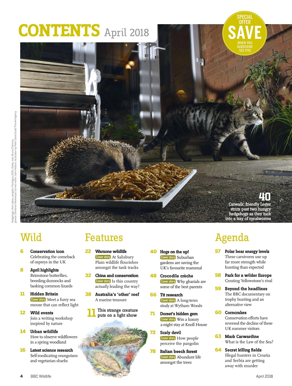 BBC Wildlife Magazine Preview Pages