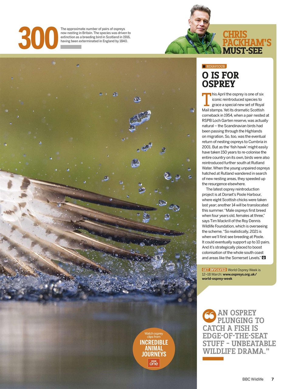 BBC Wildlife Magazine Preview Pages