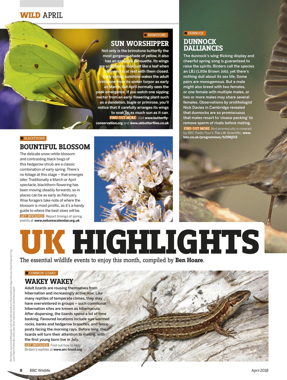 BBC Wildlife Magazine Preview Pages