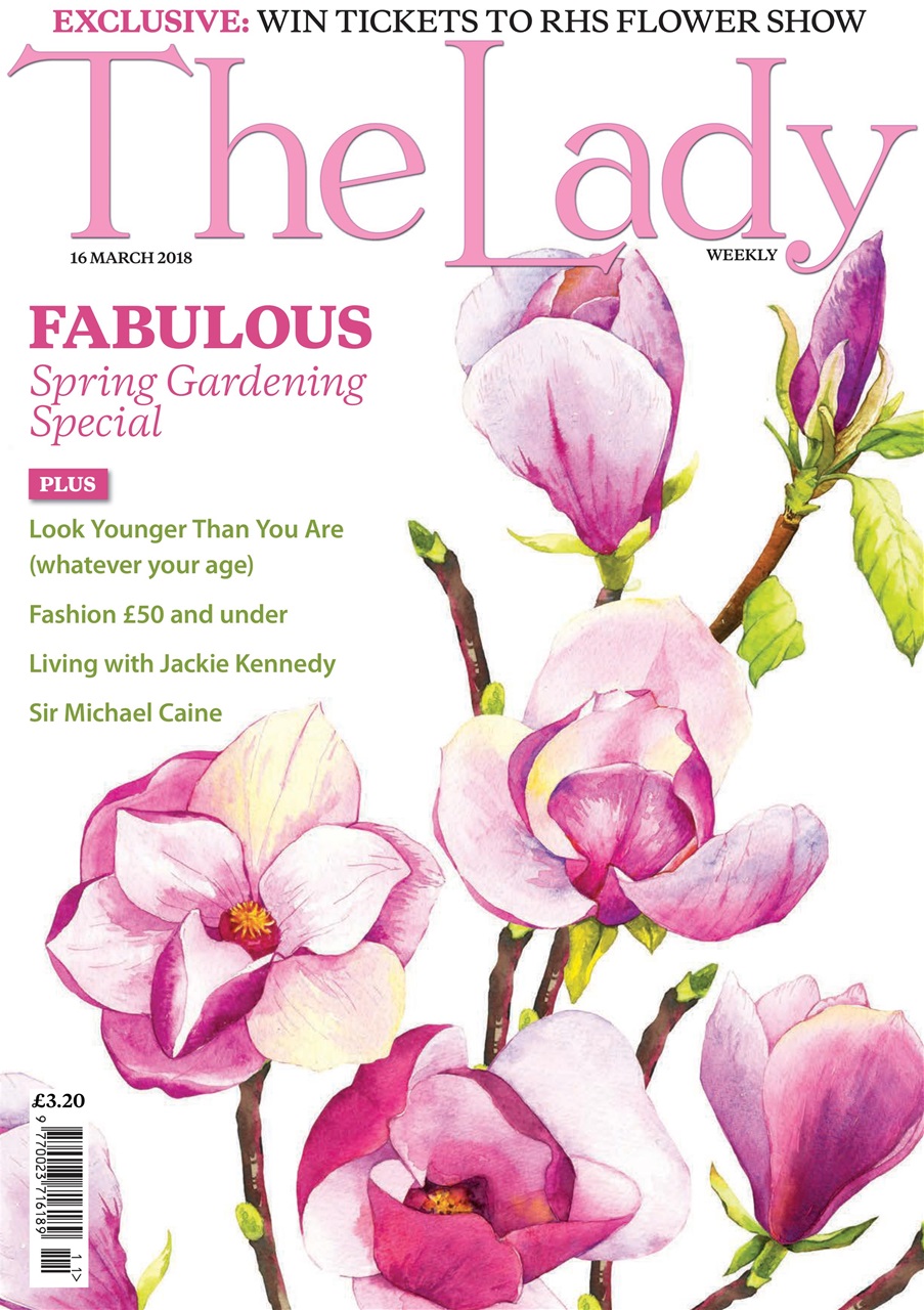 The Lady Preview Pages