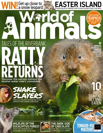 World of Animals issue 