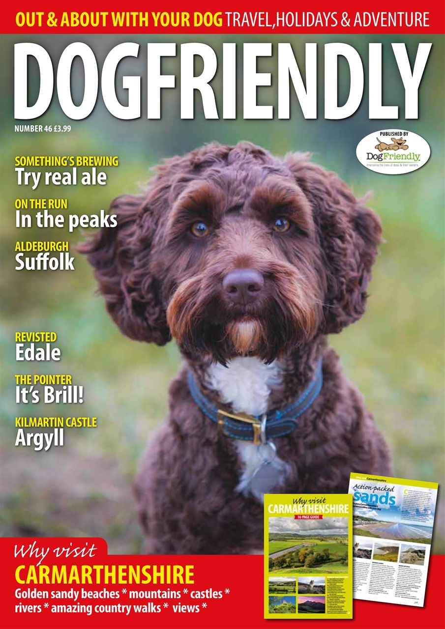 Dog Friendly Preview Pages