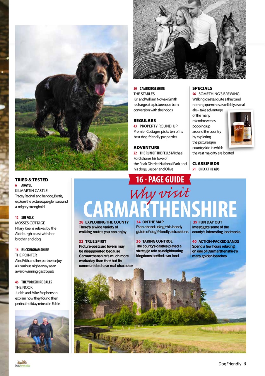 Dog Friendly Preview Pages