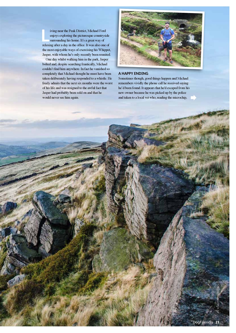 Dog Friendly Preview Pages