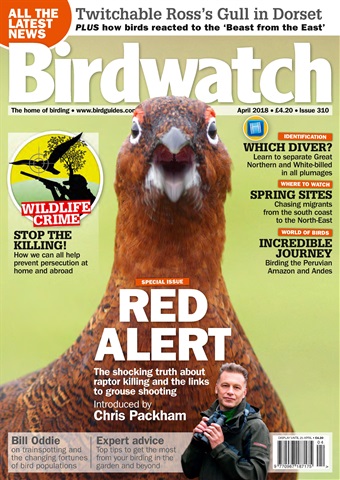 Birdwatch Magazine issue April 2018