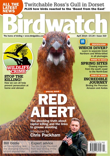 Birdwatch Magazine issue 