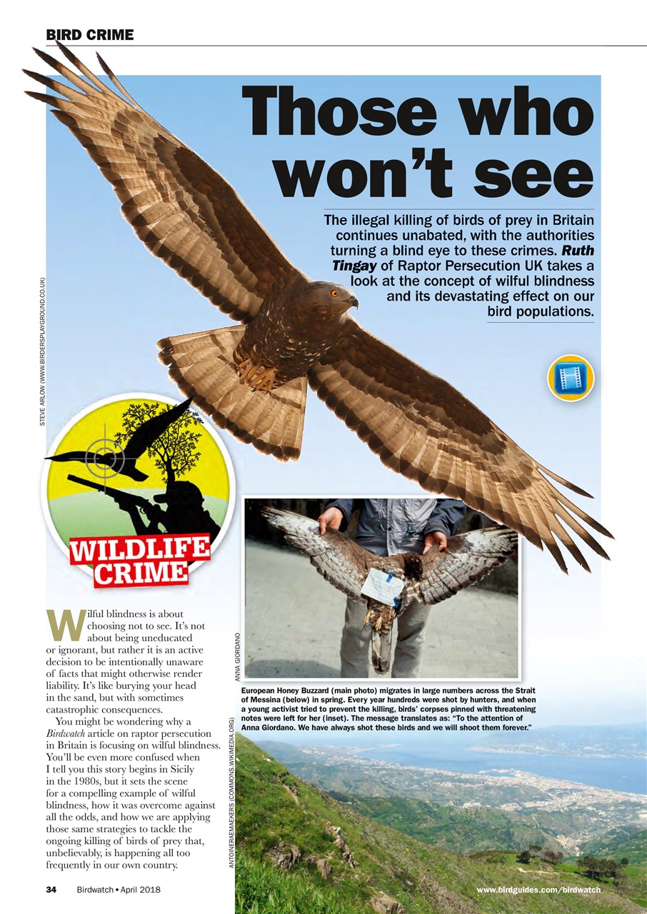 Birdwatch Magazine Preview Pages