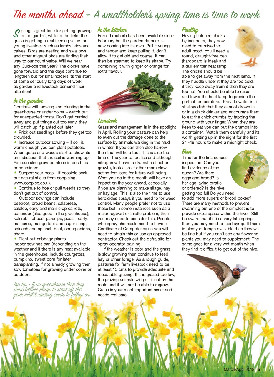 The Smallholder Preview Pages