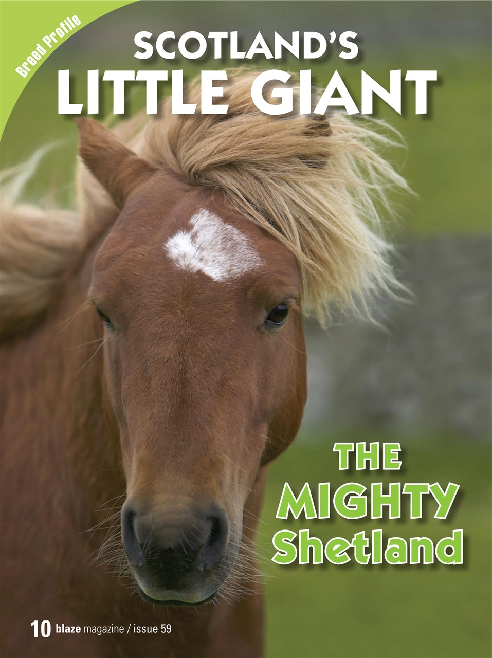 Blaze Magazine For Horse Crazy Kids Preview Pages