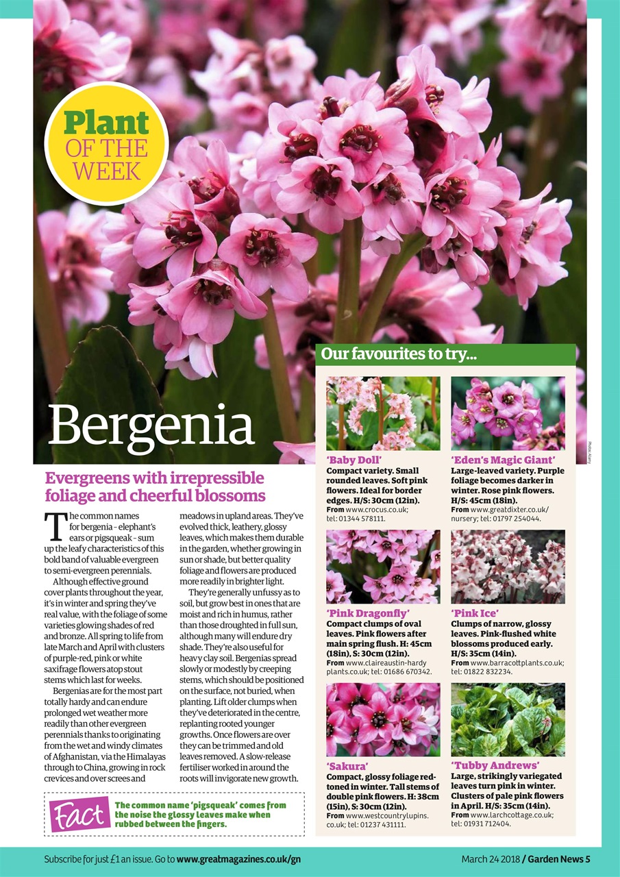 Garden News Preview Pages