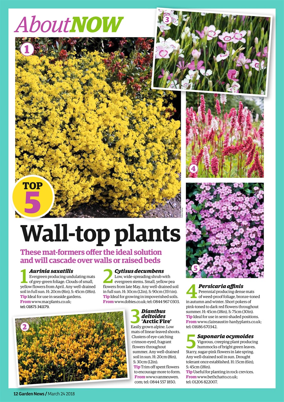 Garden News Preview Pages