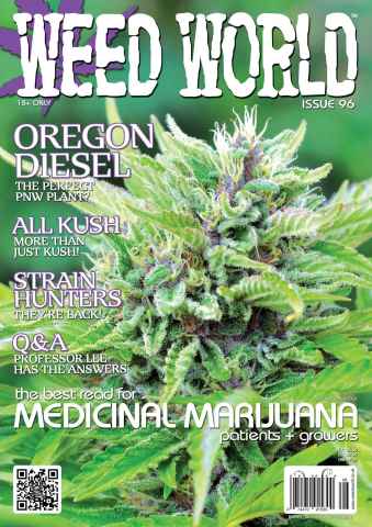 Weed World issue Issue 96