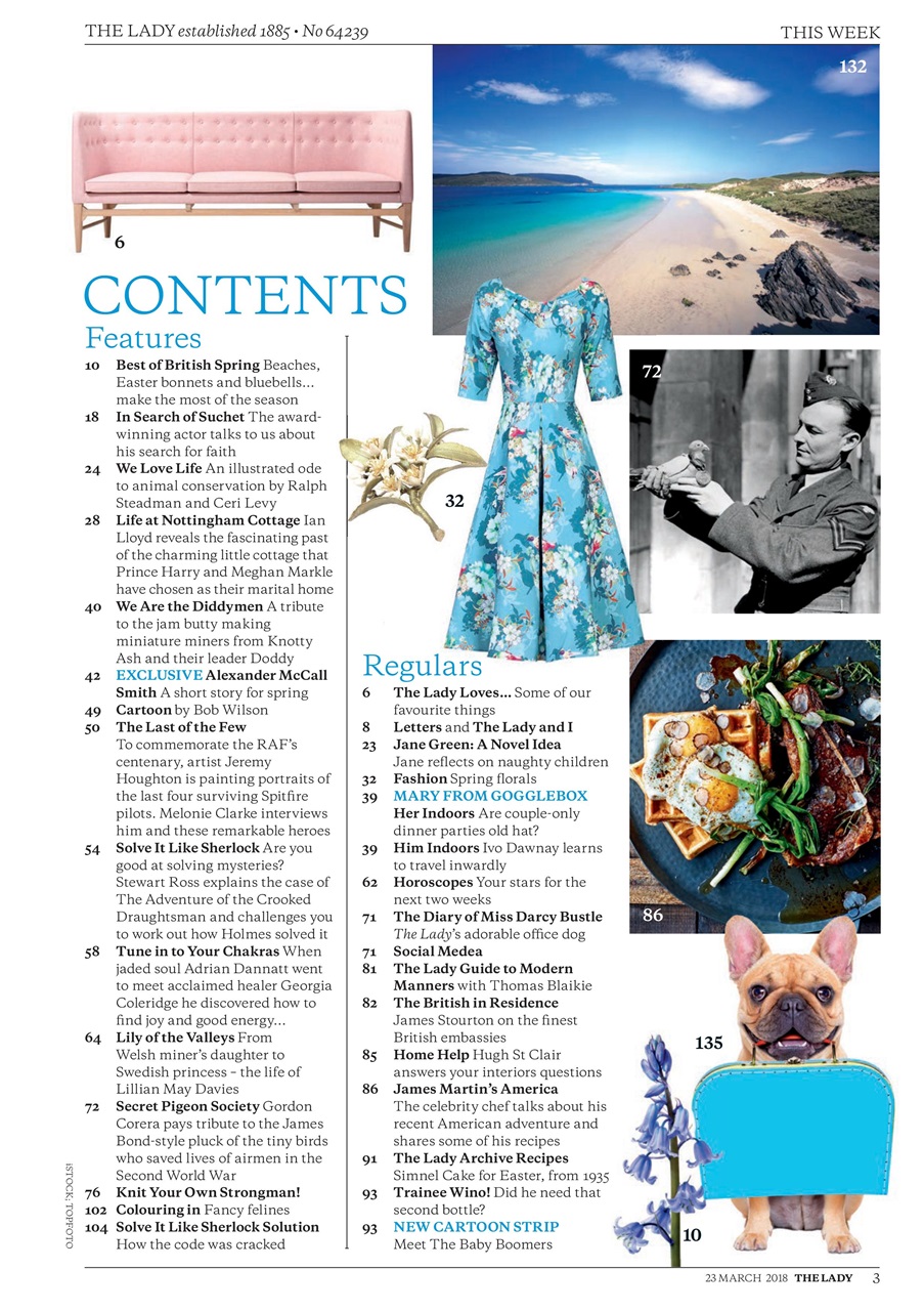 The Lady Preview Pages