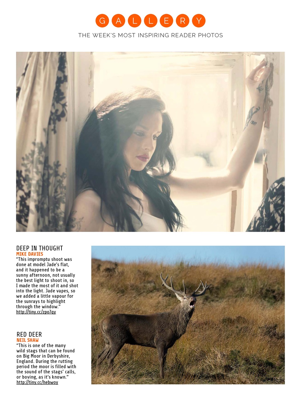 Photography Week Preview Pages