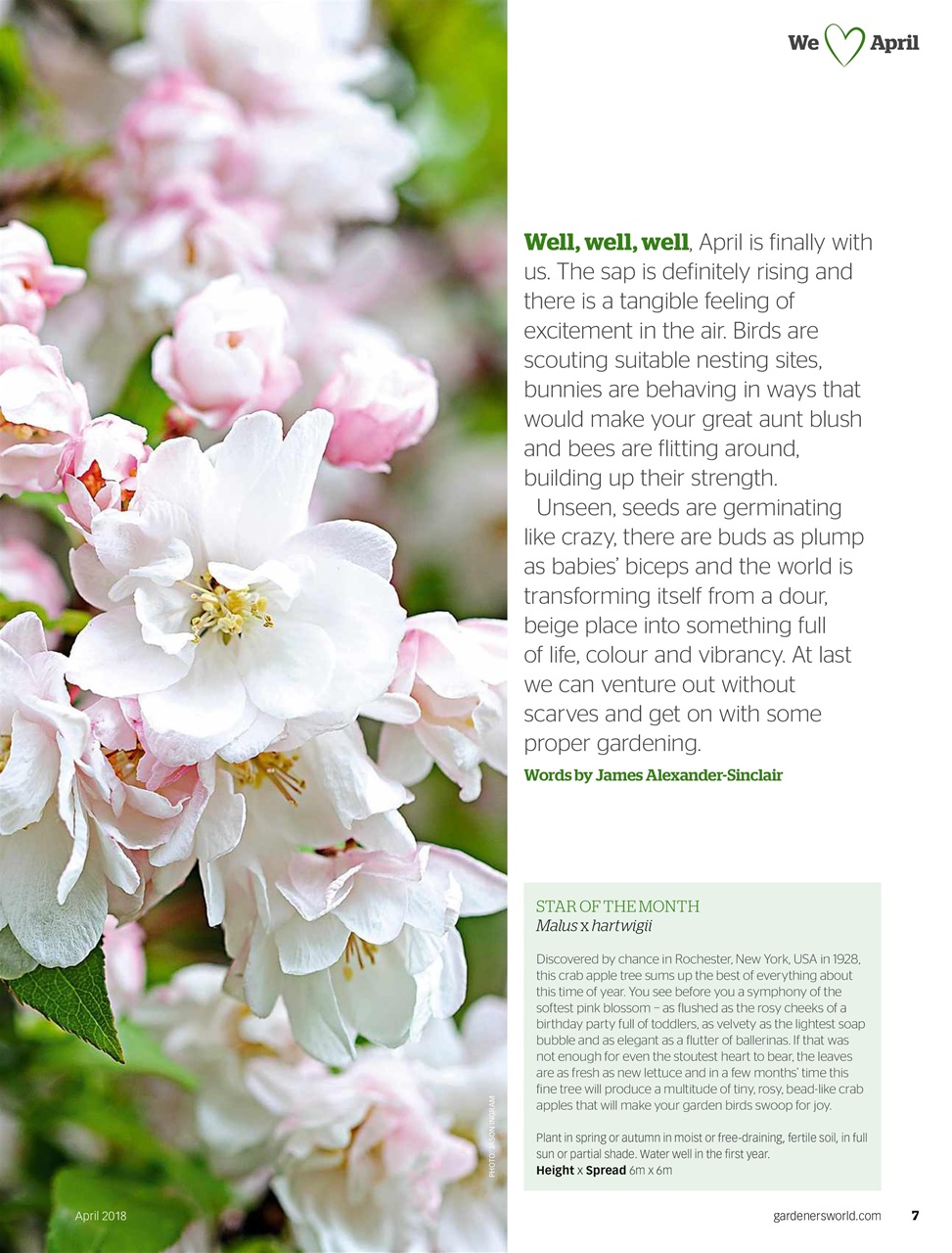 BBC Gardeners’ World Magazine Preview Pages