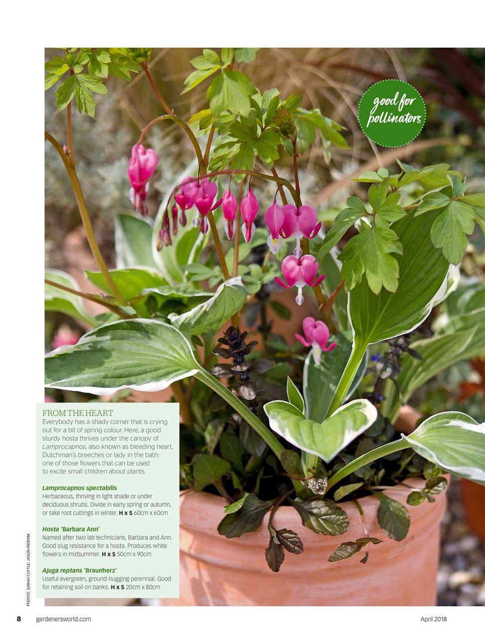 BBC Gardeners’ World Magazine Preview Pages