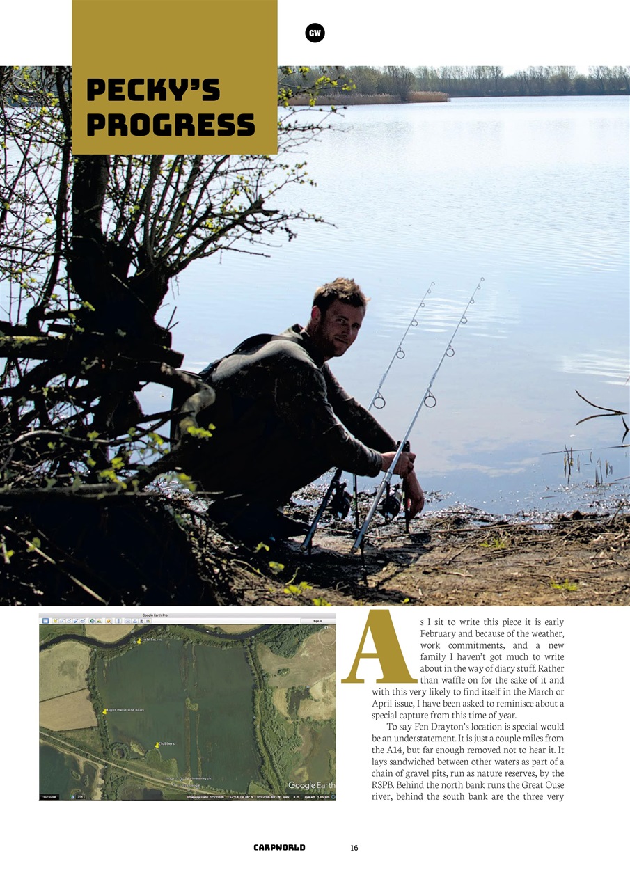 Carpworld Preview Pages