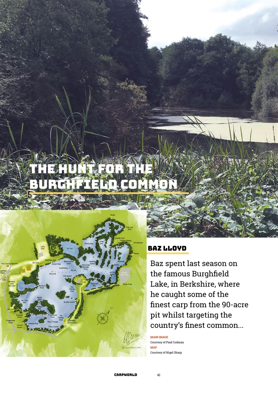 Carpworld Preview Pages