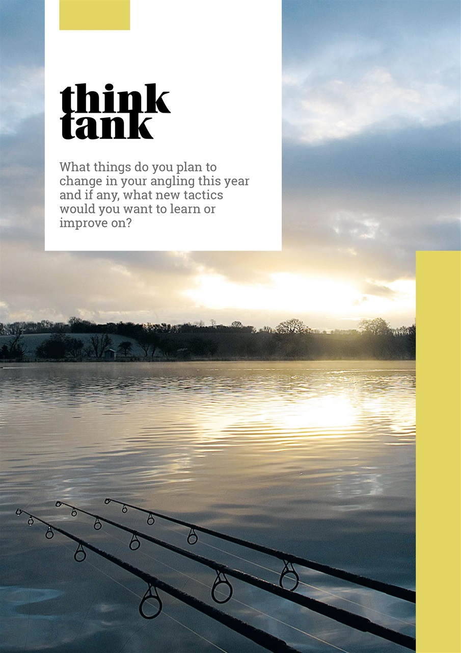 Carpworld Preview Pages