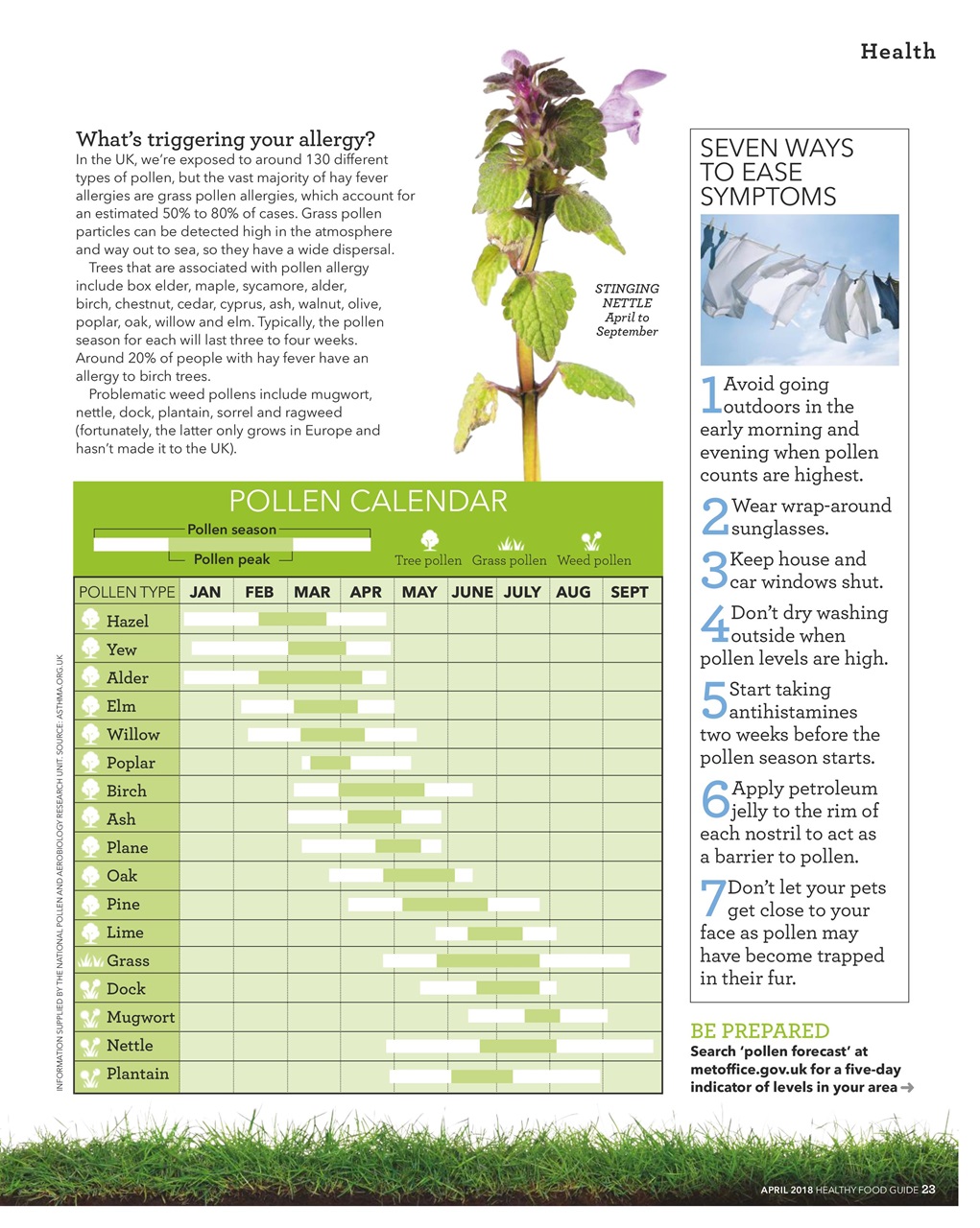 Healthy Food Guide Preview Pages