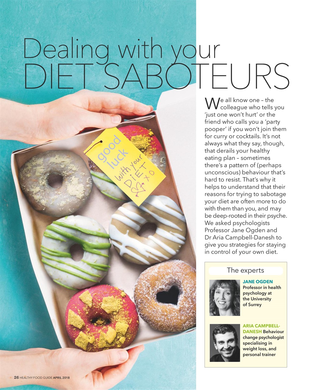 Healthy Food Guide Preview Pages