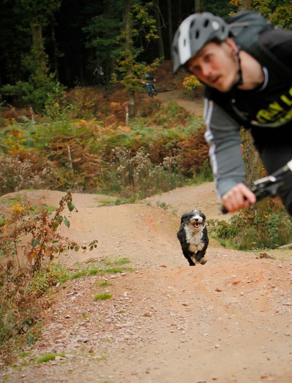 Singletrack Preview Pages