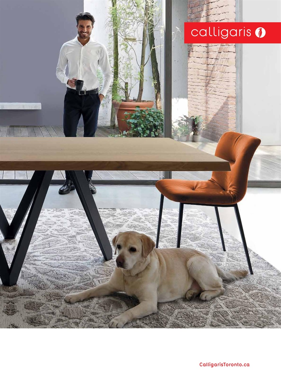 Toronto Life Preview Pages