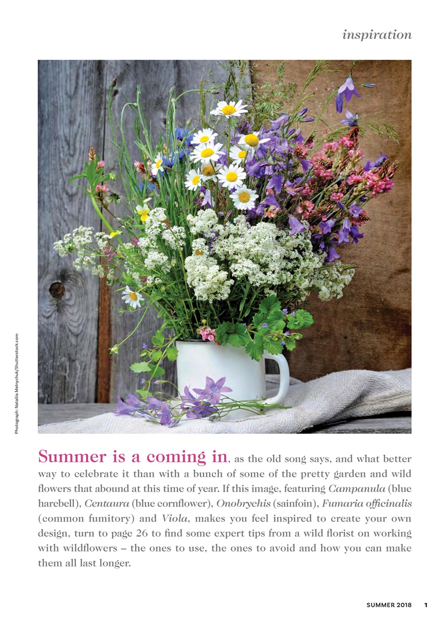 The Flower Arranger Preview Pages