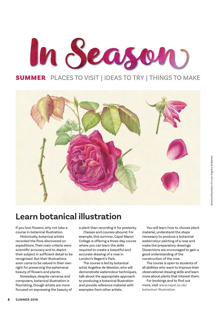 The Flower Arranger Preview Pages