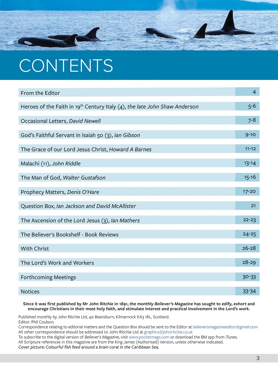 Believer Magazine Preview Pages