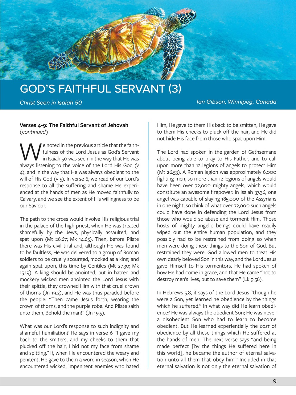 Believer Magazine Preview Pages