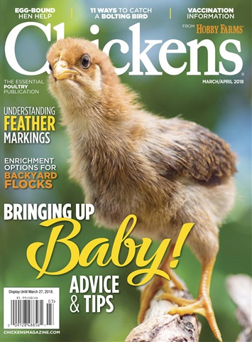Chickens Magazine issue Mar-Apr 2018