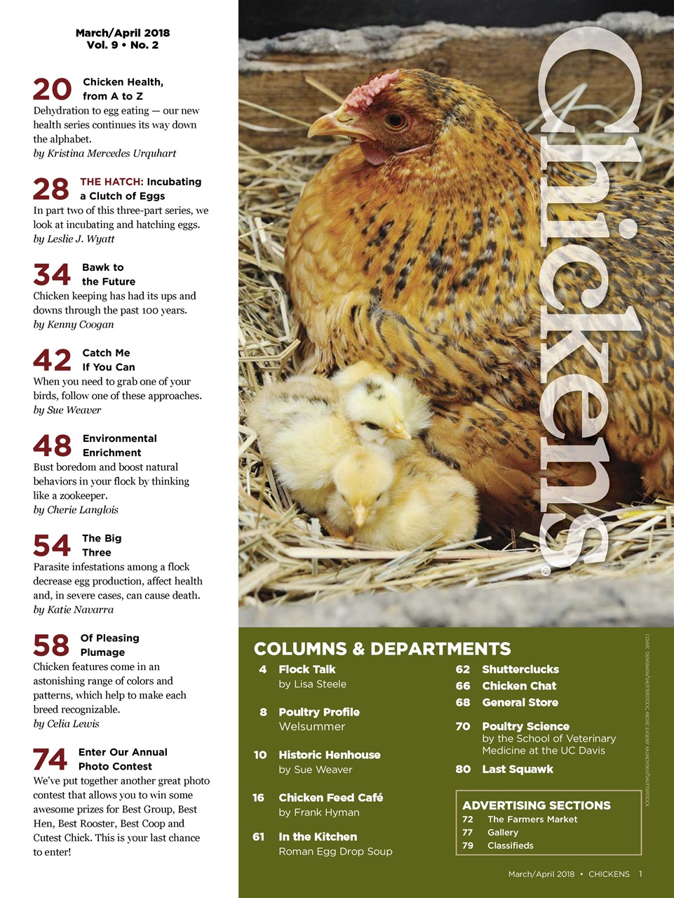 Chickens Magazine Preview Pages