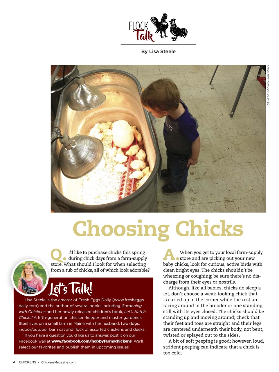 Chickens Magazine Preview Pages