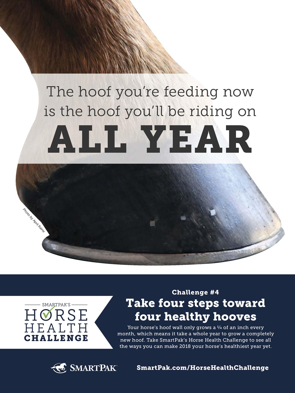 Horse Illustrated Magazine Preview Pages