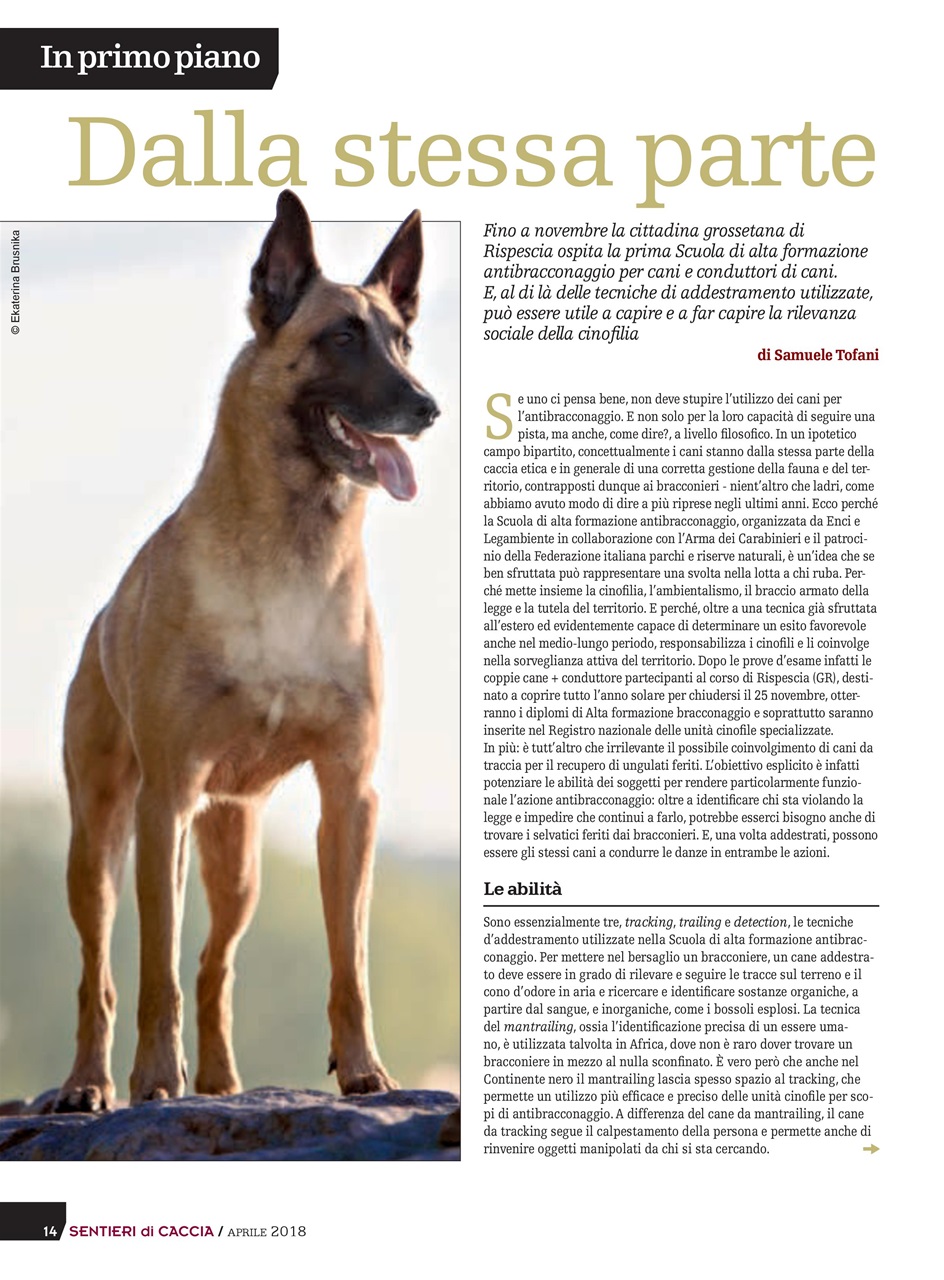 SENTIERI DI CACCIA Preview Pages