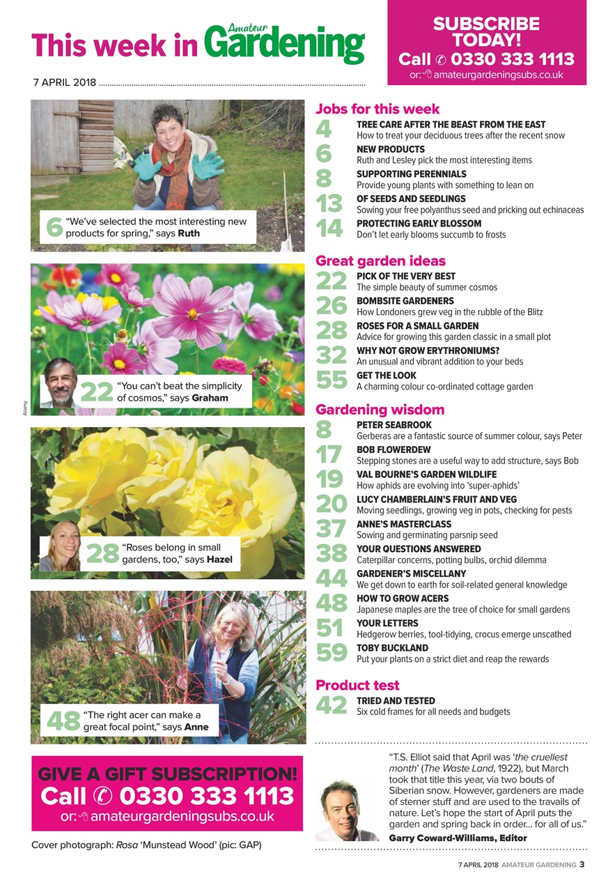 Amateur Gardening Preview Pages