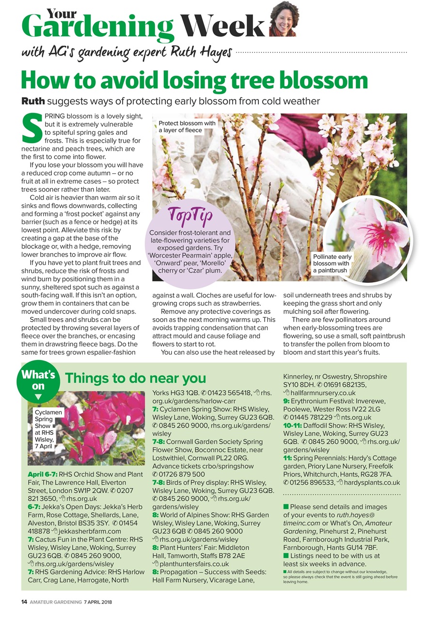 Amateur Gardening Preview Pages