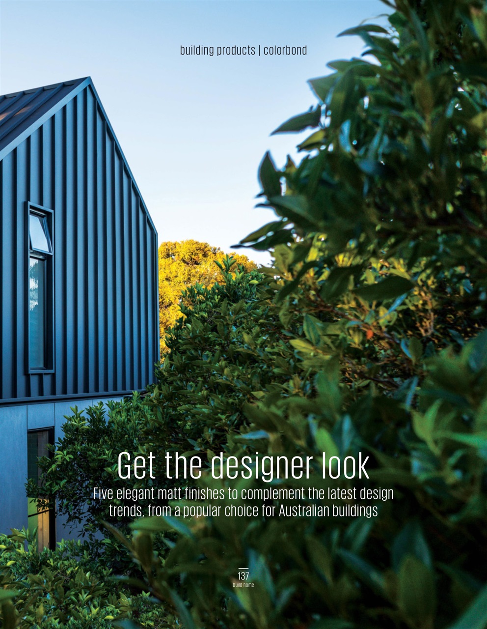 Build Home Preview Pages