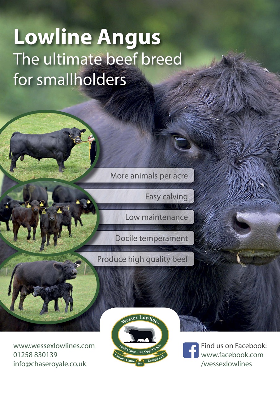 The Country Smallholder Preview Pages