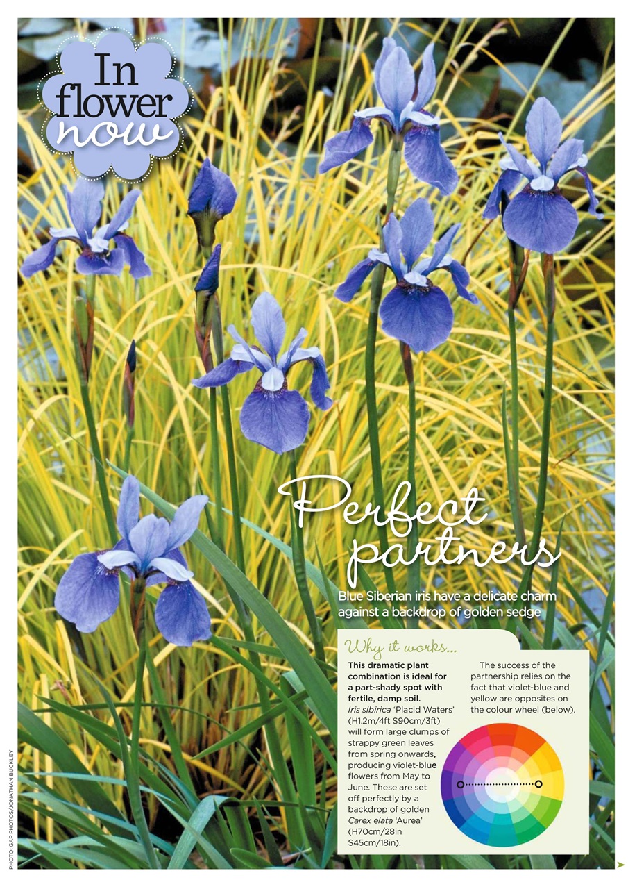 Garden Answers Preview Pages