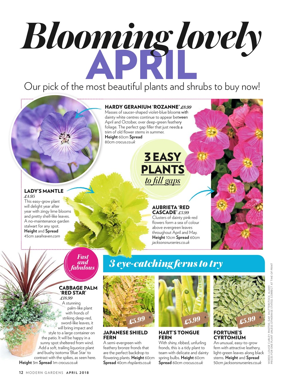 Modern Gardens Preview Pages