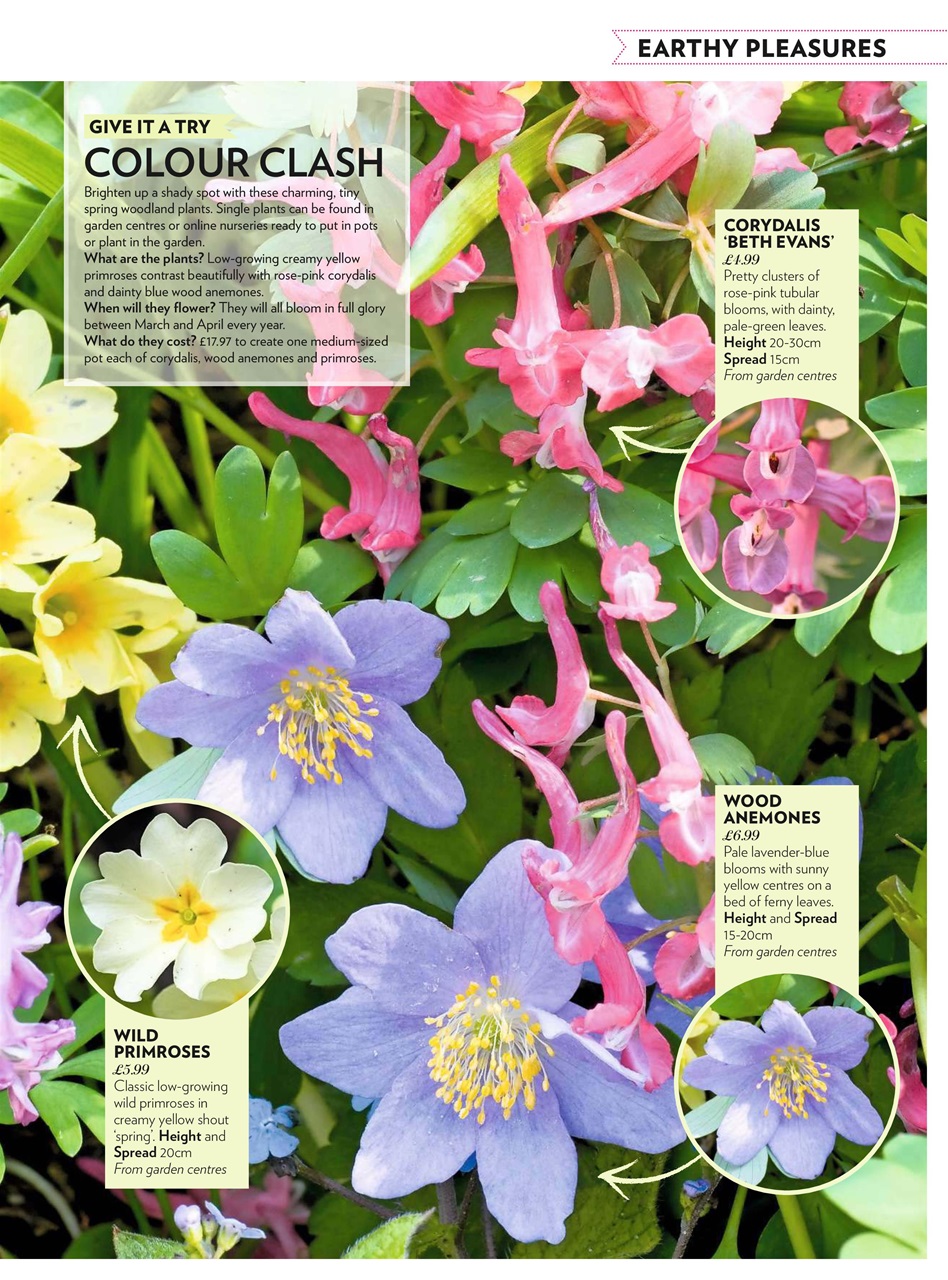 Modern Gardens Preview Pages