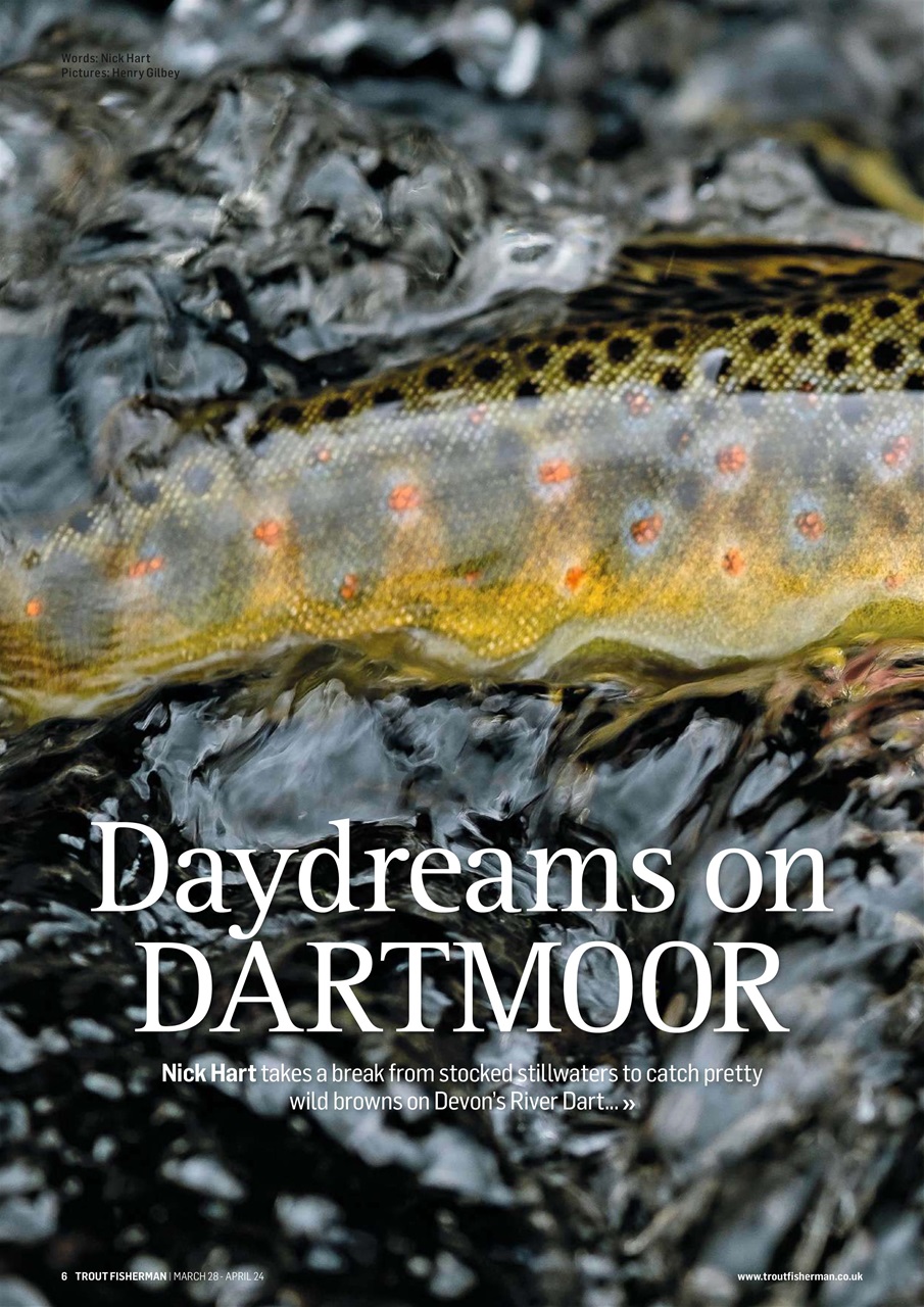 Trout Fisherman Preview Pages