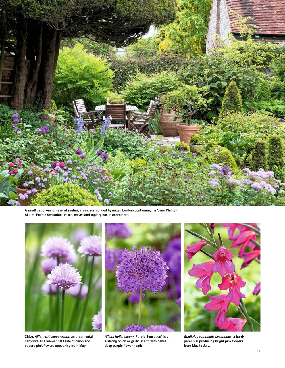 LandScape Preview Pages