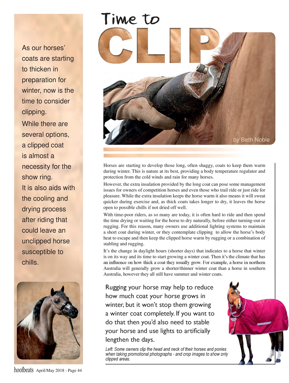 Hoofbeats Preview Pages