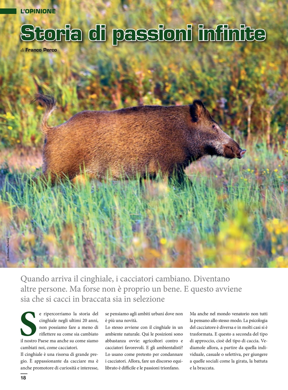 IL CINGHIALE CHE PASSIONE Preview Pages