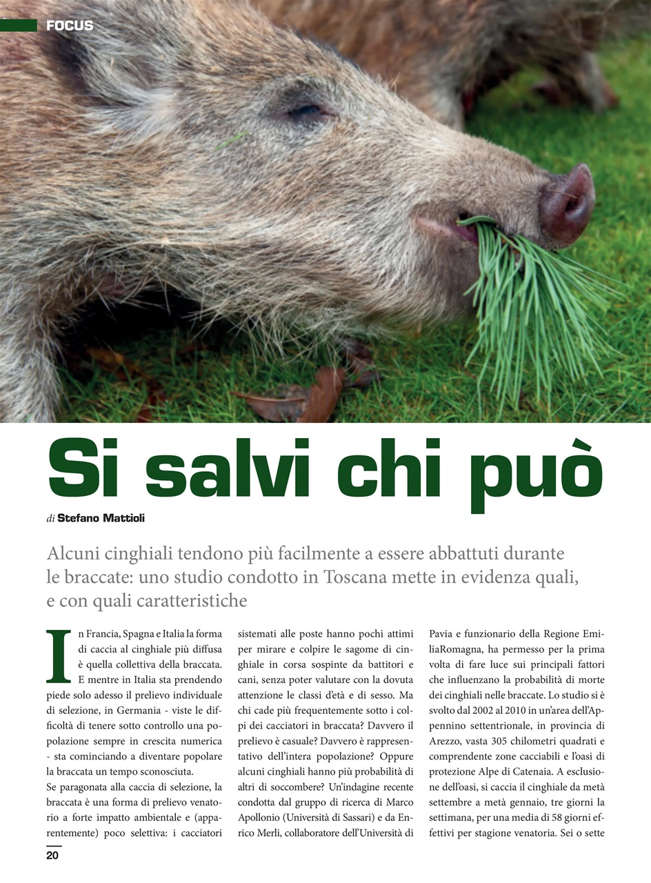 IL CINGHIALE CHE PASSIONE Preview Pages