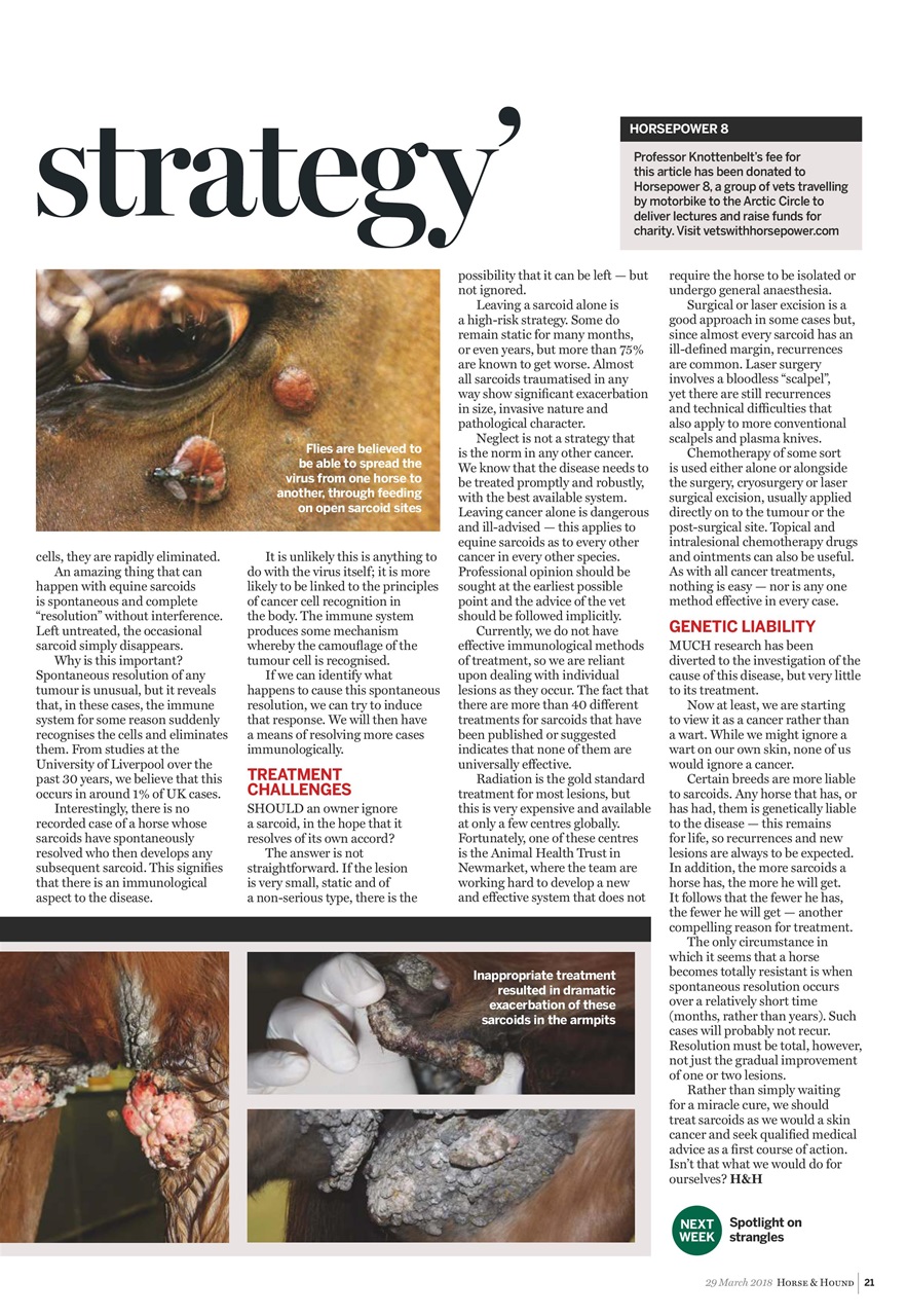 Horse & Hound Preview Pages