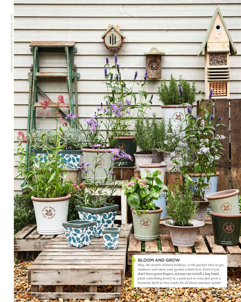 Vegetarian Living Preview Pages